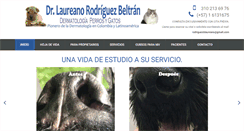 Desktop Screenshot of laureanorodriguez.com